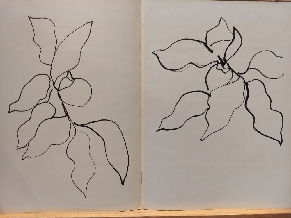 Illustriertes Buch Matisse - Vence
