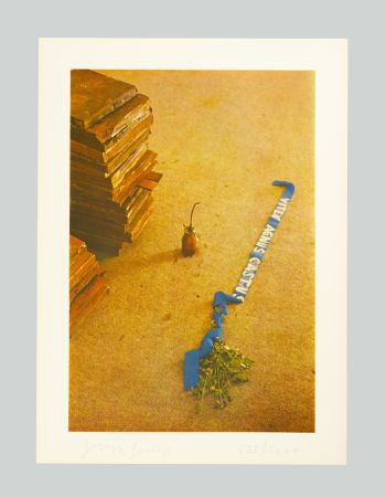 Lithographie Beuys - Vitex agnus castus