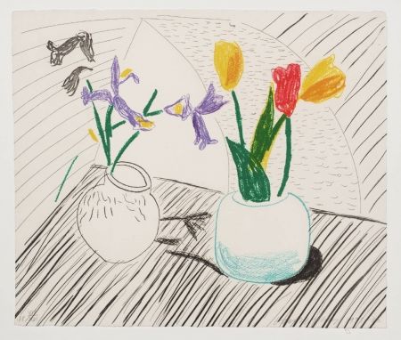 Lithographie Hockney - White Porcelain, From Moving Focus