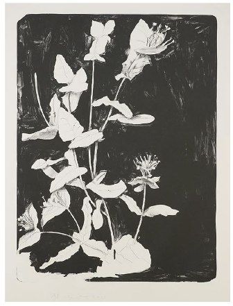 Lithographie Dine - Wildflowers in New York II