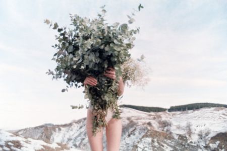 Fotografie Sitchinava - Winter Bouquet