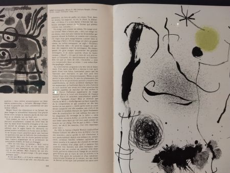 Illustriertes Buch Miró - XXE No 24