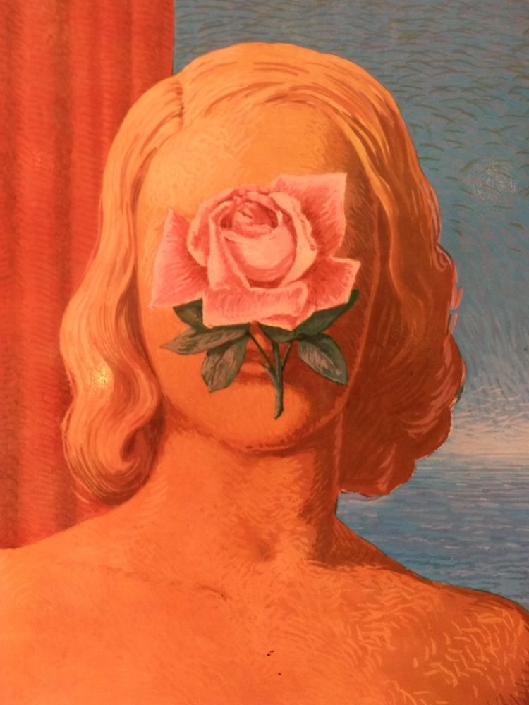 Illustriertes Buch Magritte - XXE No 25