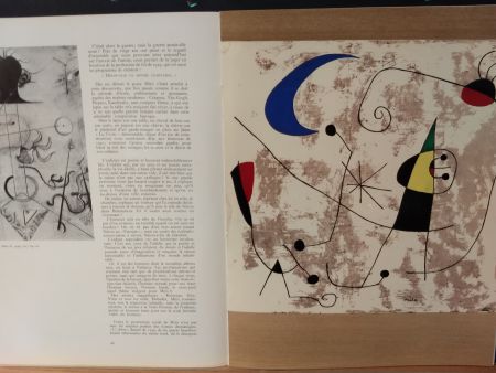 Illustriertes Buch Miró - Xxe No 8