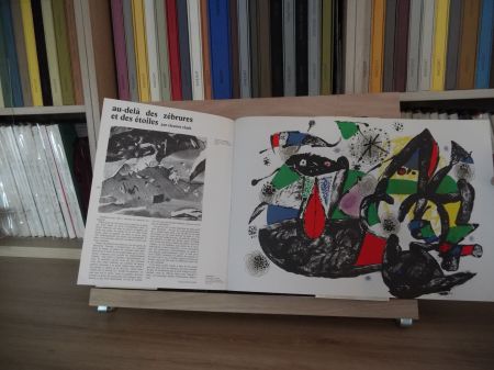 Illustriertes Buch Miró - Xxe Tanning