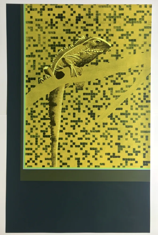 Siebdruck Aillaud - Iguane