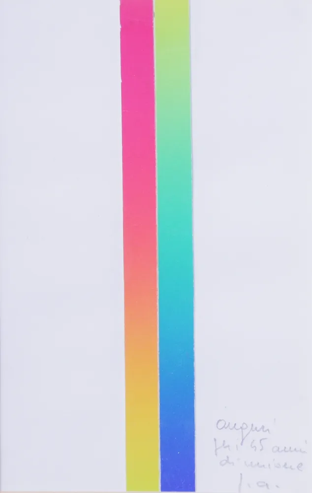 Lithographie Alviani - CROMIE SPETTROLOGICHE