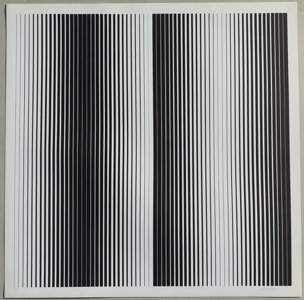 Siebdruck Alviani - Senza titolo