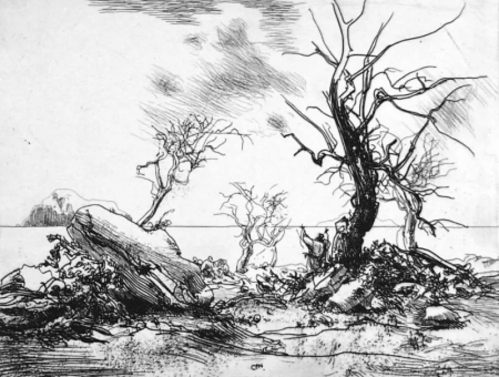 Radierung Annigoni - Paesaggio