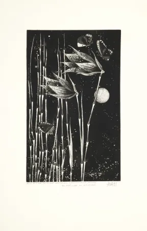 Aquatinta Avati - Les papillons de Nagasaki