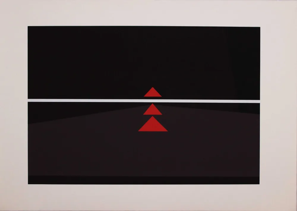 Siebdruck Badiali - Sei fasi progressive di verticalità elastica