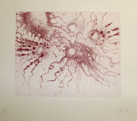 Radierung Und Aquatinta Barcelo - Lanzarote 20