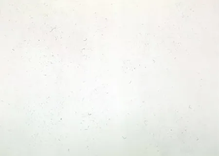 Stich Bartolini - Dust Chaser 1