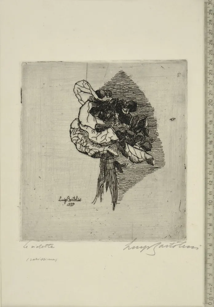 Radierung Bartolini - LE VIOLETTE