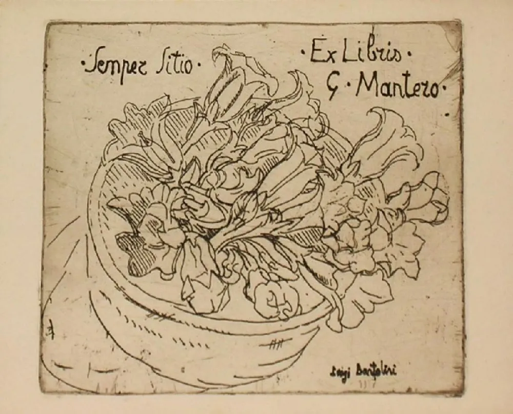 Stich Bartolini - SENPER SITIO