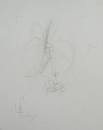 Lithographie Beuys - Codices Madrid 10