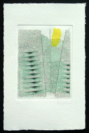 Radierung Und Aquatinta Bonalumi - Senza titolo