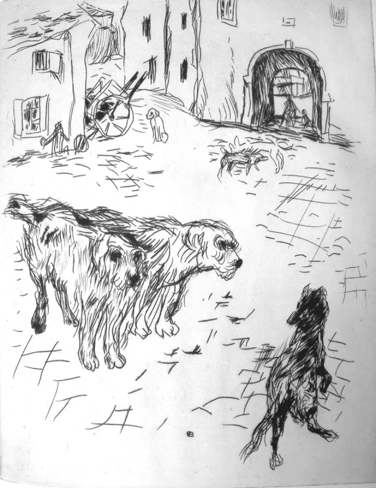 Illustriertes Buch Bonnard - Dingo