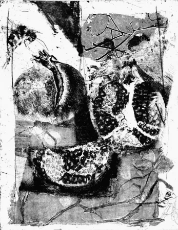 Radierung Calandri - Melograne