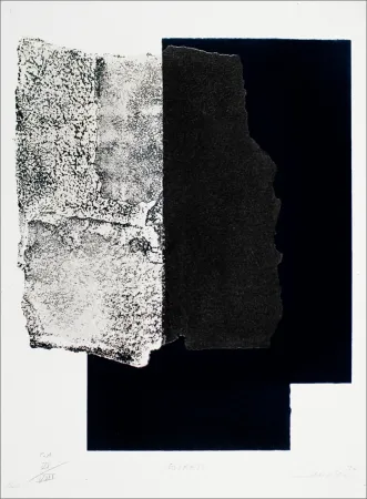 Siebdruck Canogar - Estrato