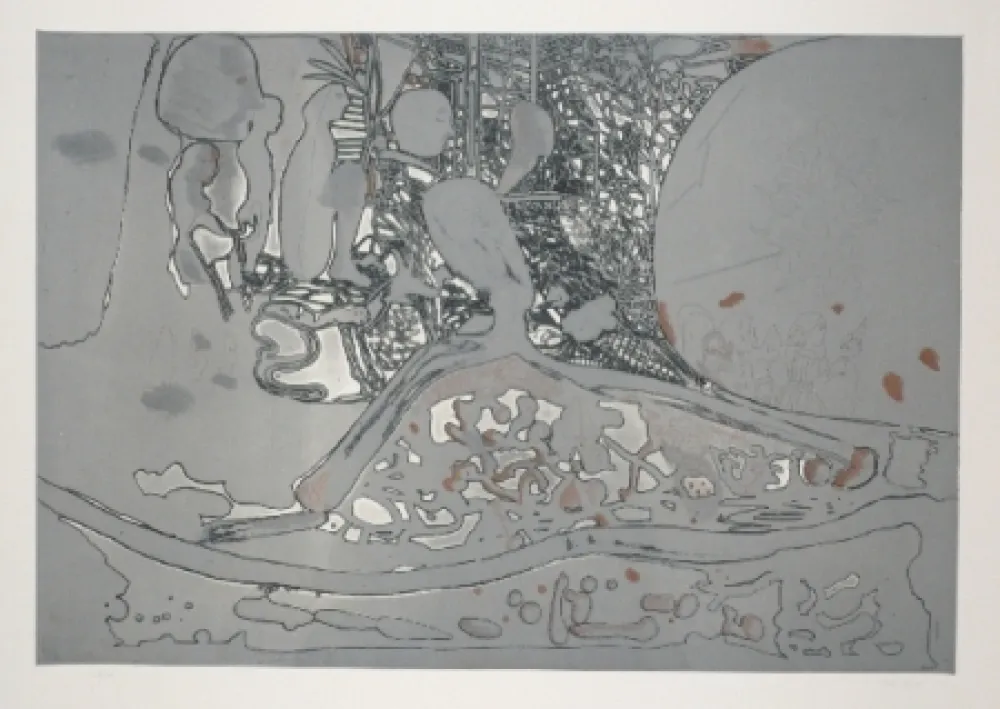 Radierung Und Aquatinta Castillo - Jardin de invierno 2