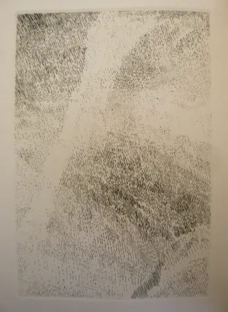 Illustriertes Buch Celan Lestrange - Protocole