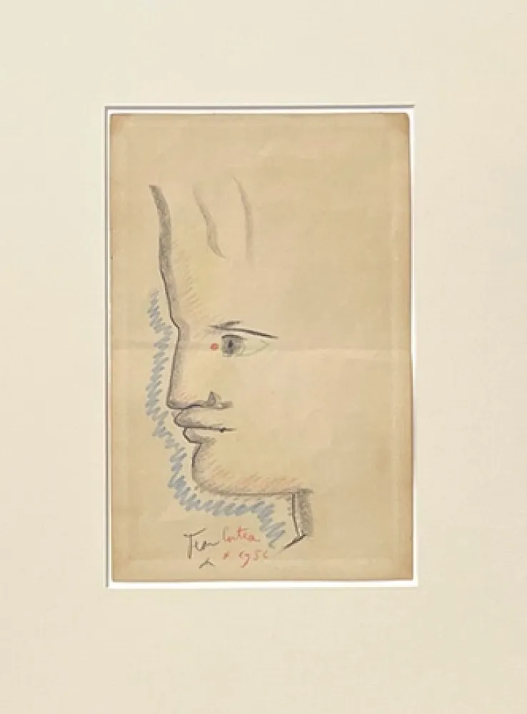 Keine Technische Cocteau - Profil à gauche