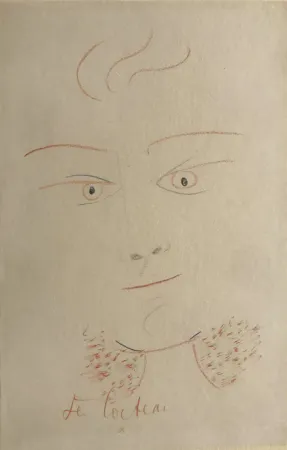 Keine Technische Cocteau - Visage Multi Colour. UNIQUE PIECE DRAWING