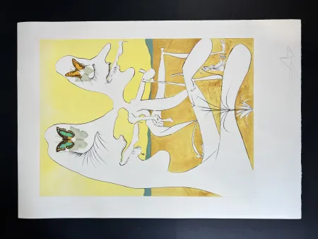 Multiple Dali - Papillons de l’anti-matière