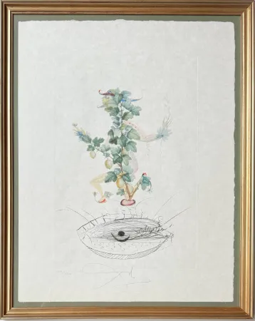 Lithographie Dali - Révérence du groseillier (Curtsying Gooseberry Bush)