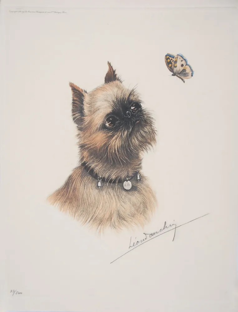 Radierung Danchin - Griffon Bruxellois et papillon - Brussel Griffon and butterfly