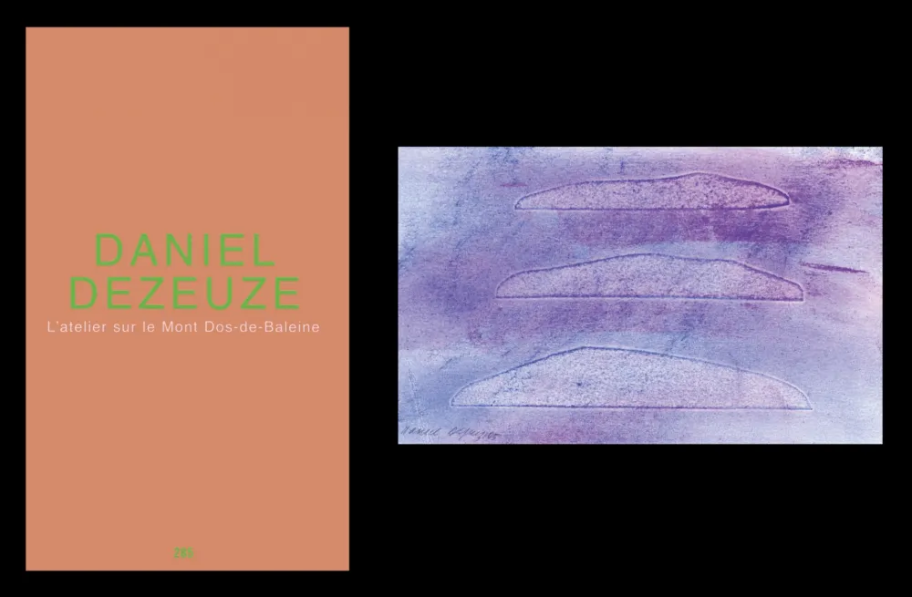 Illustriertes Buch Dezeuze - L'art en écrit 