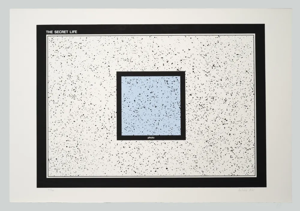 Siebdruck Dias - The secret life