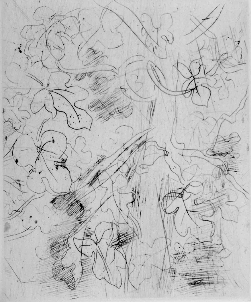 Radierung Dufy - Figuier