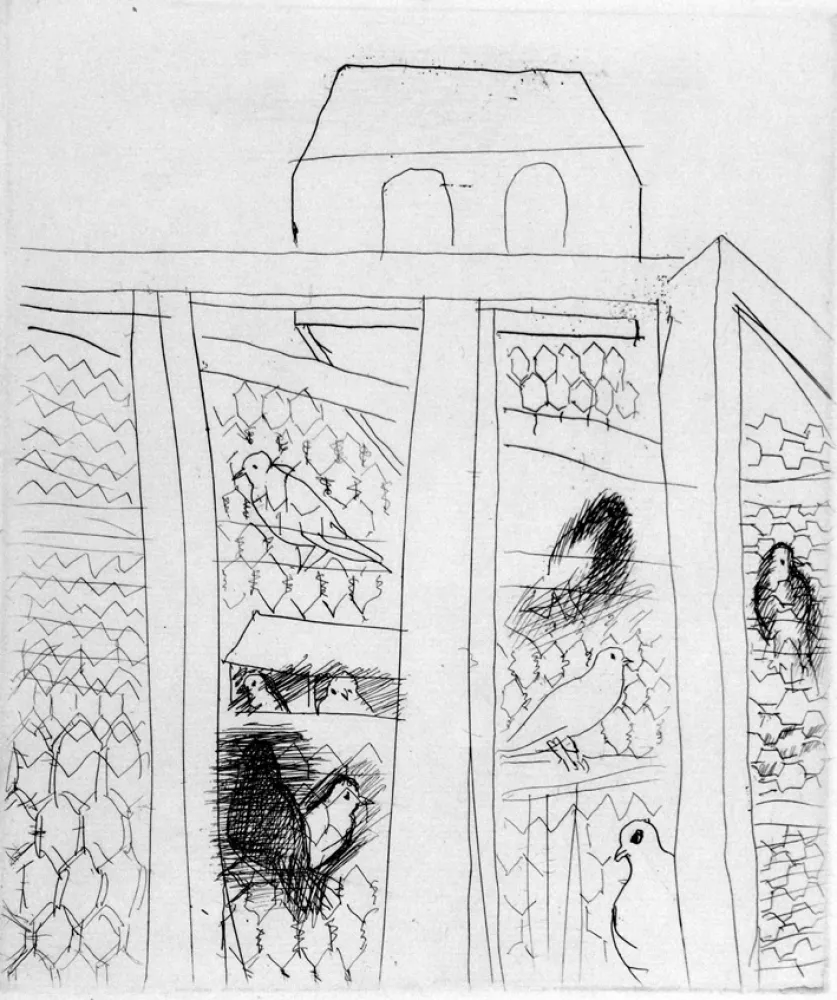 Radierung Dufy - Pigeonners II