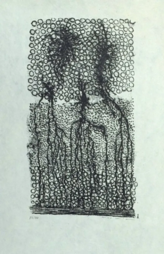 Lithographie Ernst - Sans titre