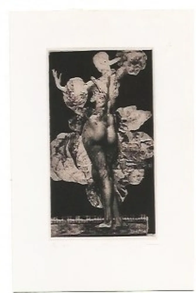 Stich Fuchs - Giulietta II