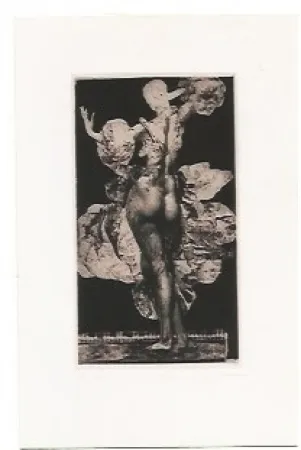 Stich Fuchs - Giulietta II