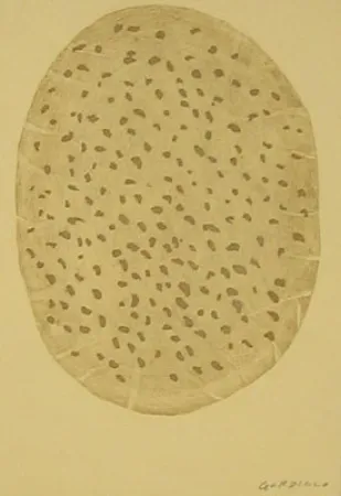 Radierung Gordillo - S/T