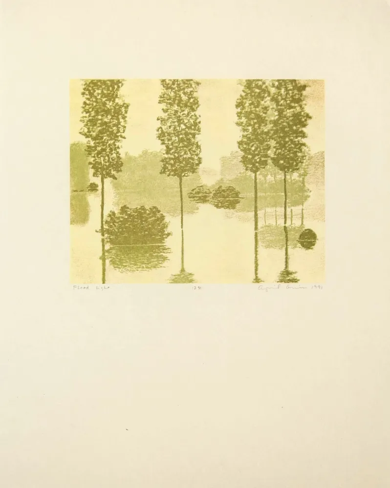 Hochdruck Gornick - Flood Light, from Art Pro-Choice II