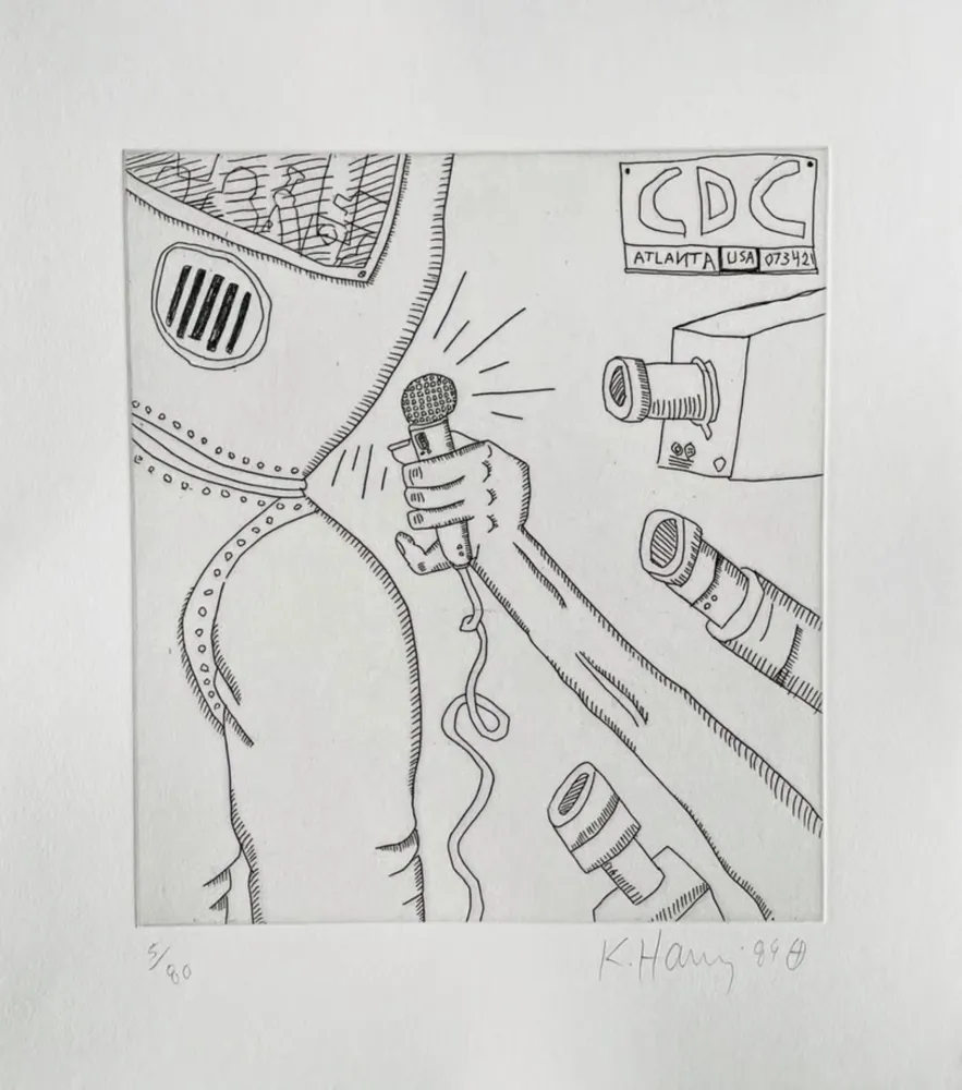 Stich Haring - The Valley (1)