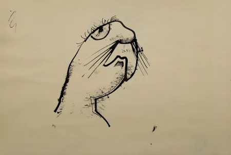 Keine Technische Hofer - Robbe (Seal)