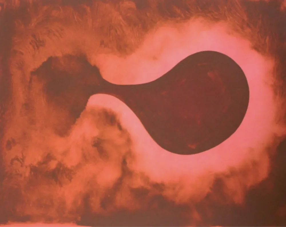 Stich Kapoor - Untitled 09