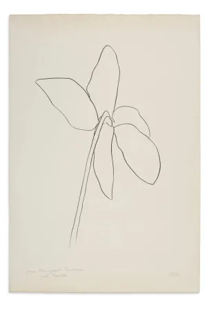 Lithographie Kelly - Cyclamen IV, 1964-1965