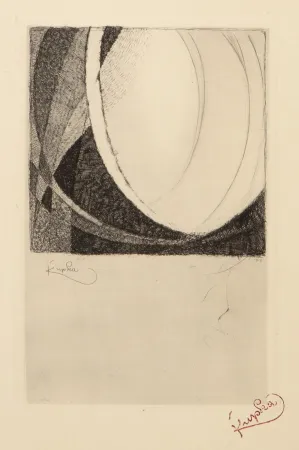 Stich Kupka - Amorpha