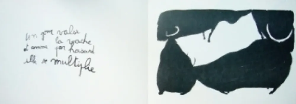 Illustriertes Buch Lebelle - Vaches d'Inde