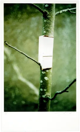 Digitale Druckgrafik Leick - Greffes et greffons I