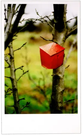 Digitale Druckgrafik Leick - Greffes et greffons IV