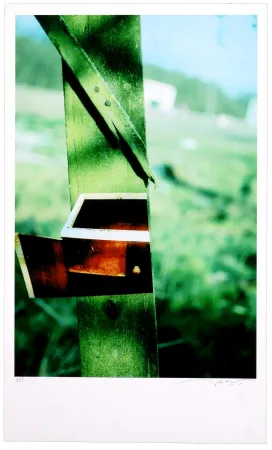 Digitale Druckgrafik Leick - Greffes et greffons VI