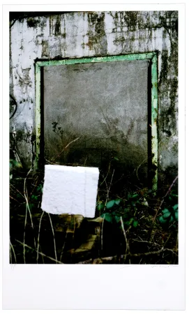 Digitale Druckgrafik Leick - Greffes et greffons VIII